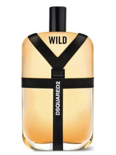 Dsquared2 Wild EDT 100 ml Erkek Parfümü kullananlar yorumlar